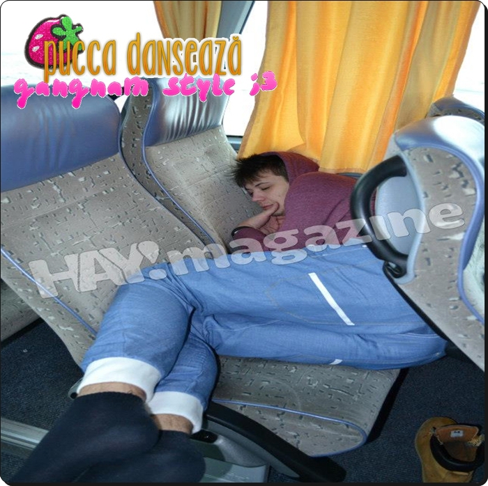 397457_479751558728814_785219310_n - 3 -- LALA - Constanta - Tulcea