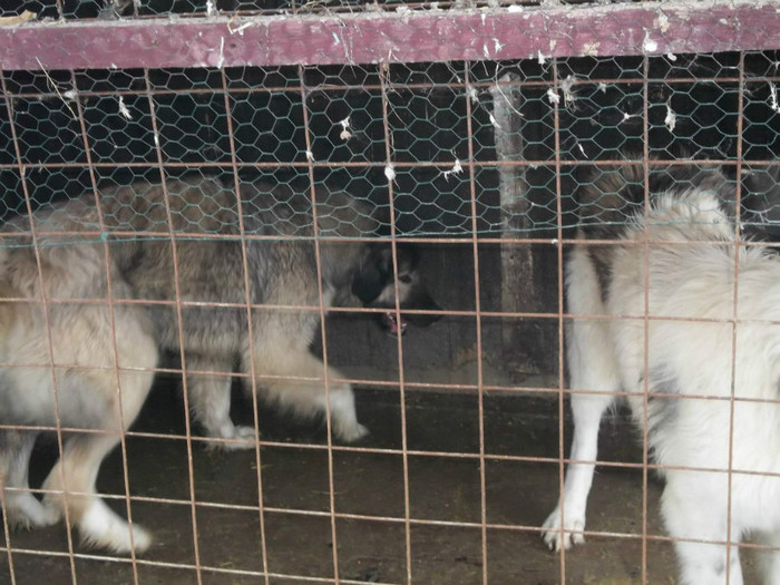 792308_4143917123148_736619143_o