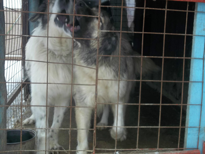 798321_4143921403255_1563456967_o