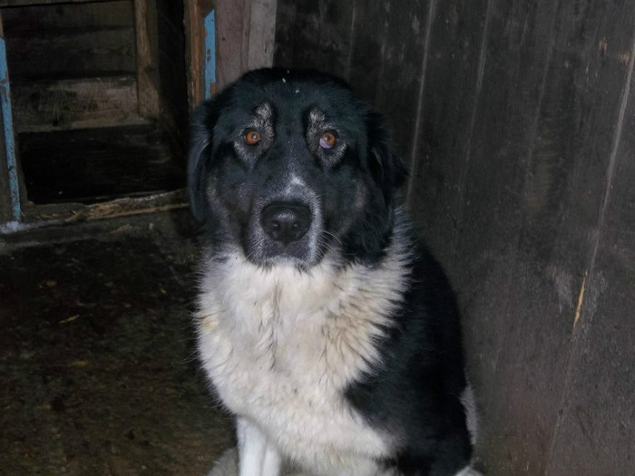 812707_4143920683237_950878115_o