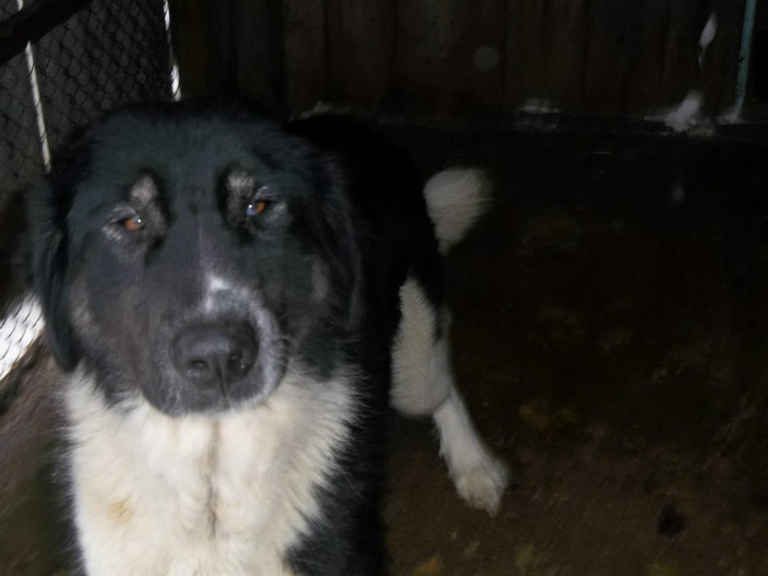 843944_4143917483157_2062096527_o