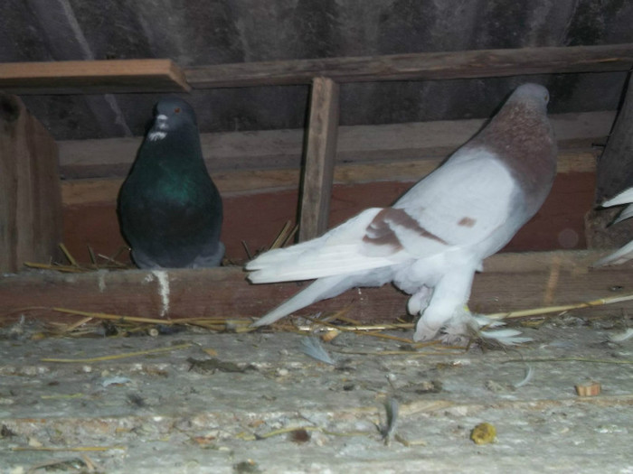 843122_4143911723013_1783909414_o