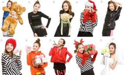 images dara