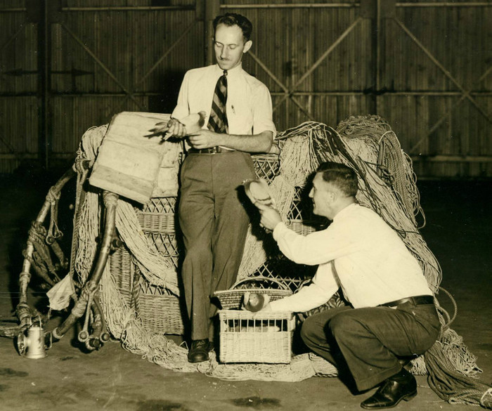 Zboara zboara dar mai sar si cu parasuta - Ultimele impresii