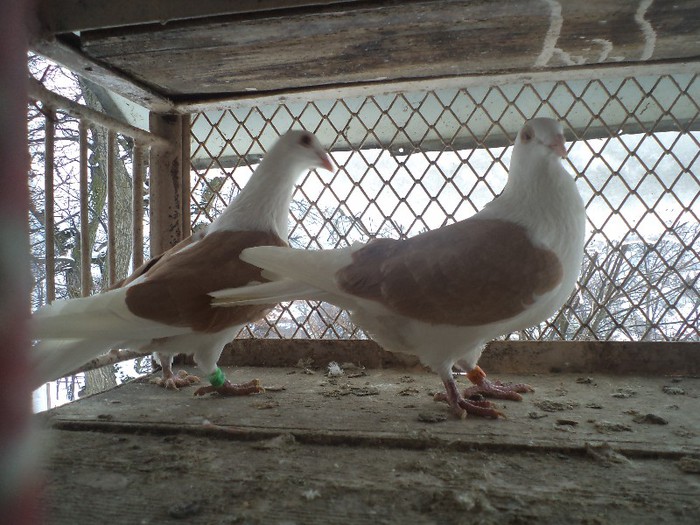 DSC03557 - Copy - Copy