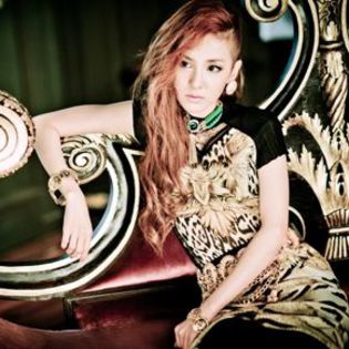 dara44