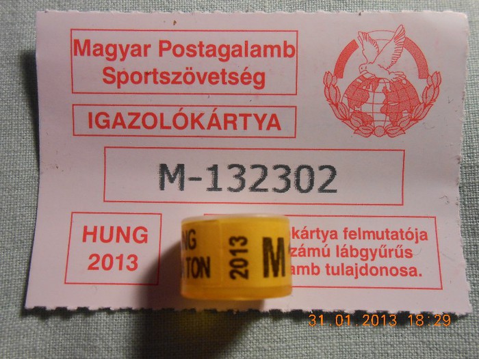 HUNG  2O13   MARATON