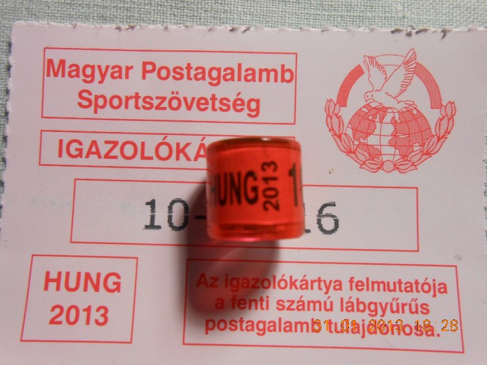 HUNG  2O13 - UNGARIA