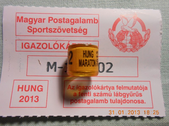 HUNG 2O13    MARATON