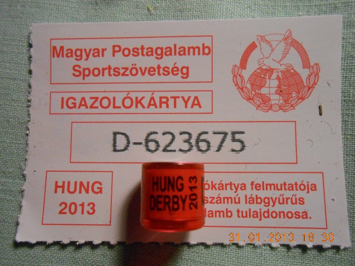 HUNG 2O13 DERBY