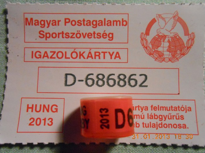 HUNG   2O13  DERBY - UNGARIA
