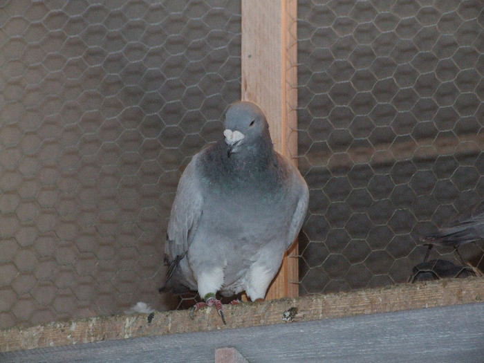DSCF2995
