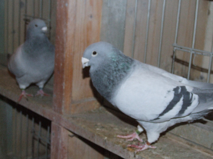 DSCF5980