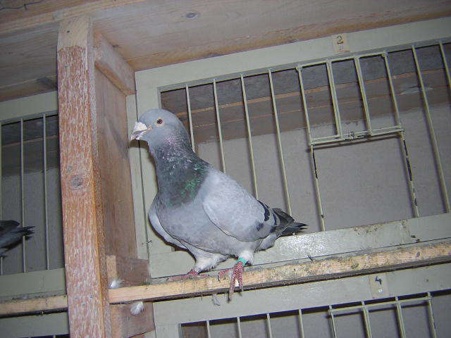 DSCN5485