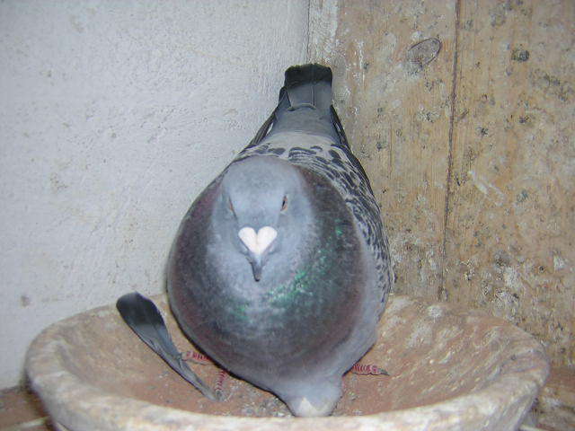 DSCN5491