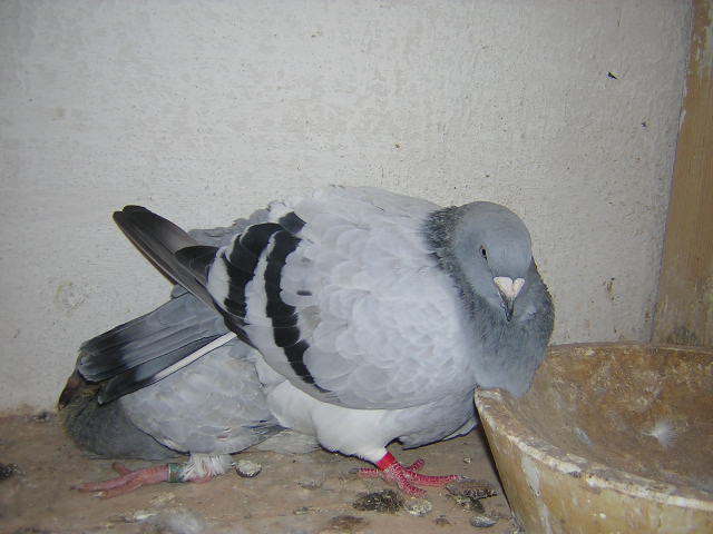 DSCN5496