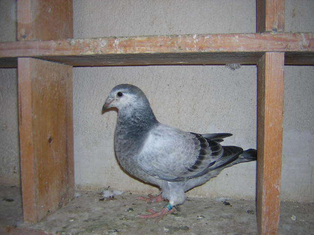 DSCN5499