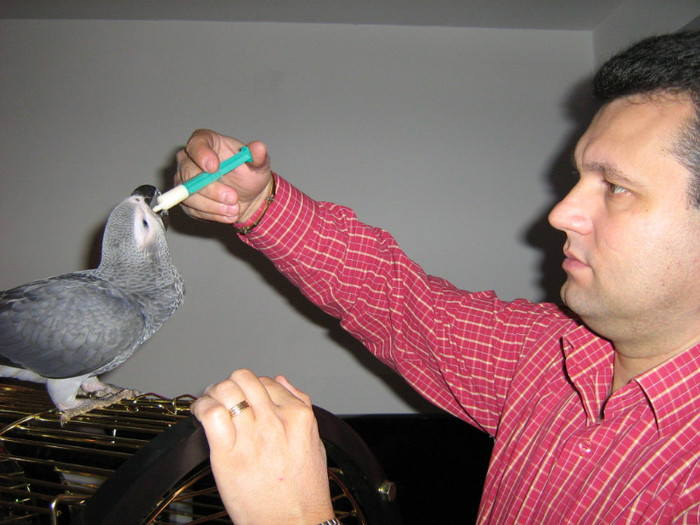 IMG_1705; la 4 luni inca servim masa cu seringa
