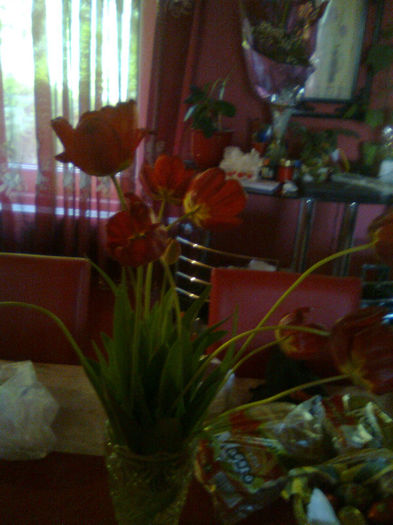 Imagine0835 - FLORILE MELE