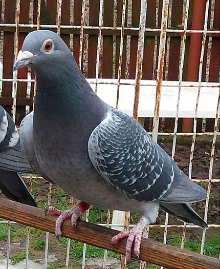 IMG_20130119_142210-1