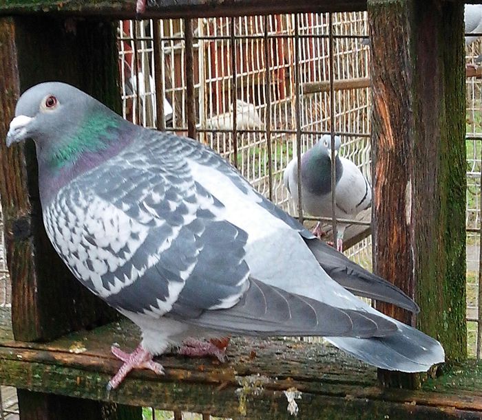 IMG_20130119_142618-1