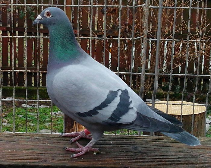 IMG_20130119_141500-1