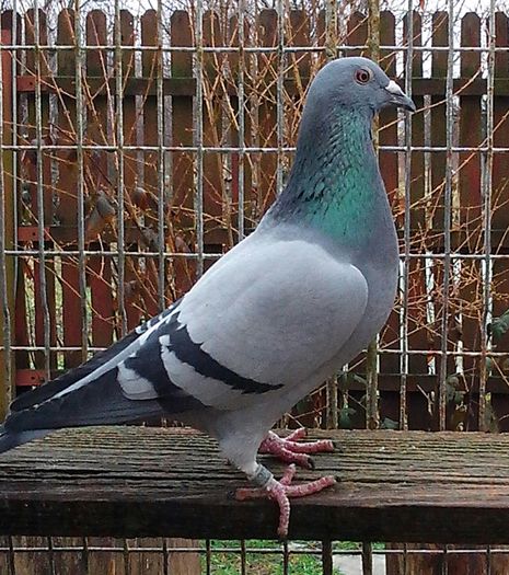 IMG_20130119_142109-1