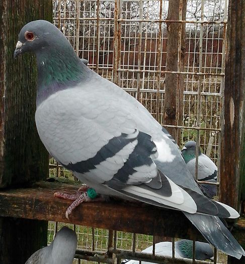 IMG_20130119_142546-1