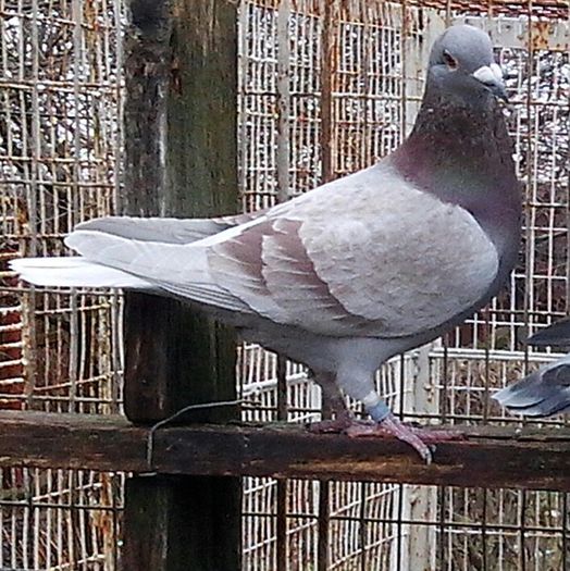 IMG_20130119_141032-1