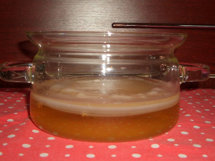 KOMBUCHA_pui - KOMBUCHA