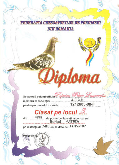 LOc 3 ACMB viteza - 3-Diplome