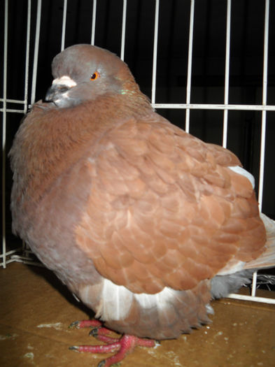 Picture 232