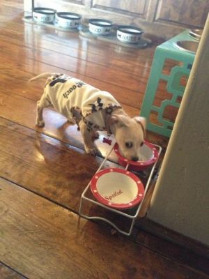 normal_20130128_BBuEo6uCYAAPhLE