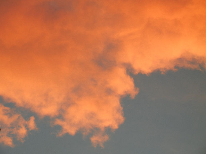 Sunset Clouds (2013, January 31) - CLOUDS_Nori