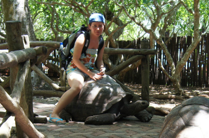 Zanzibar ian 2013 Prison Island - CONTACT 0754041606