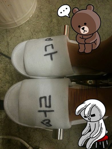 dara slippers - 2ne1 korea 1
