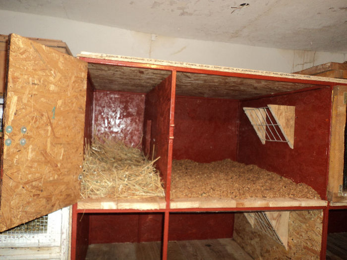 O BOXA PREGATITA DE FATARE