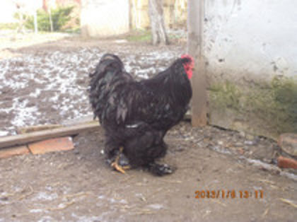 84984893_EMTPTUB