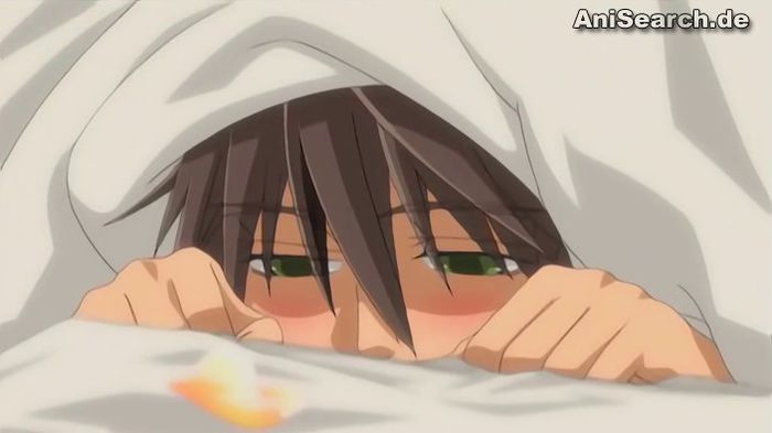 misaki 13 - Junjou Romantica