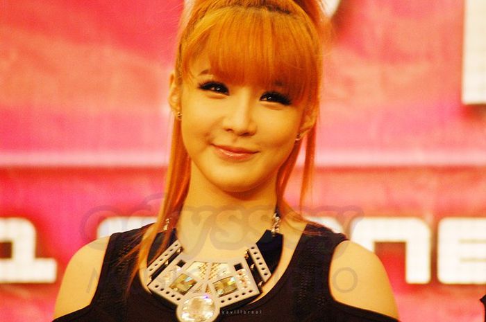 248641_10150191631382143_273812647142_7426999_8313648_n - 2ne1 korea 1