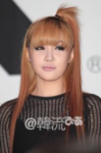 bommie
