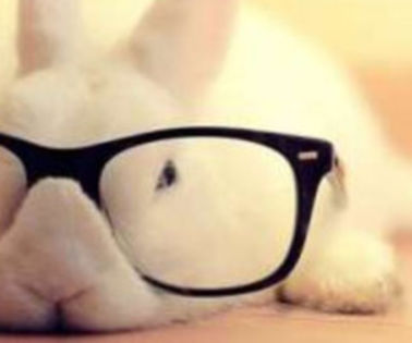 542870_10151328194148832_1131934431_n_thumb