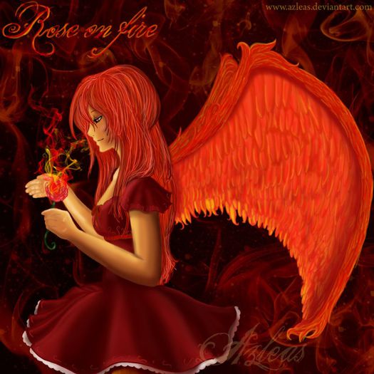 Rose_on_Fire__by_Azleas