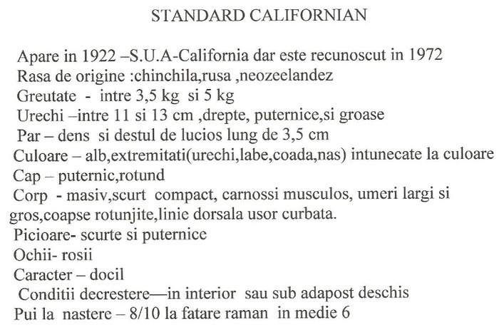 standard californian - 0 Standardurile la rasa de iepuri pe care o cresteti