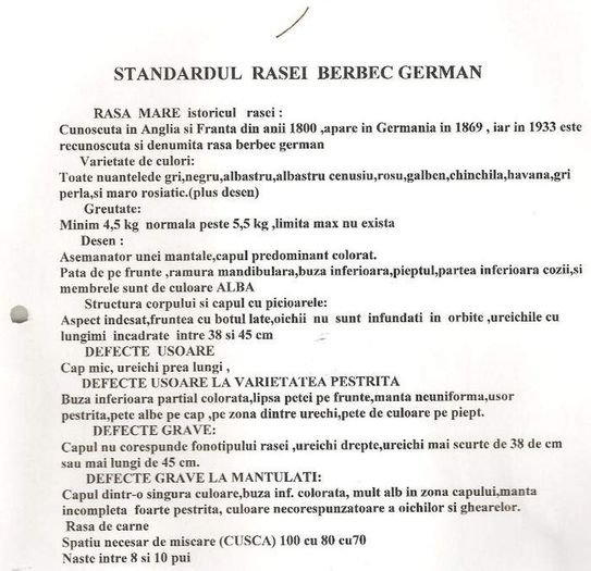 standard berbec german - 0 Standardurile la rasa de iepuri pe care o cresteti