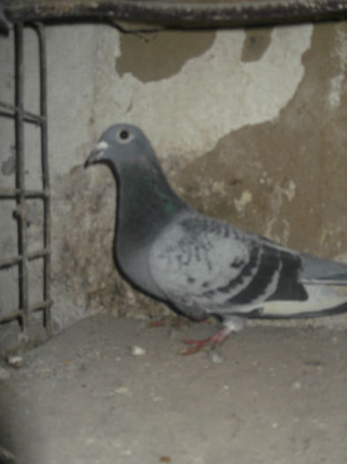 DSCF2144