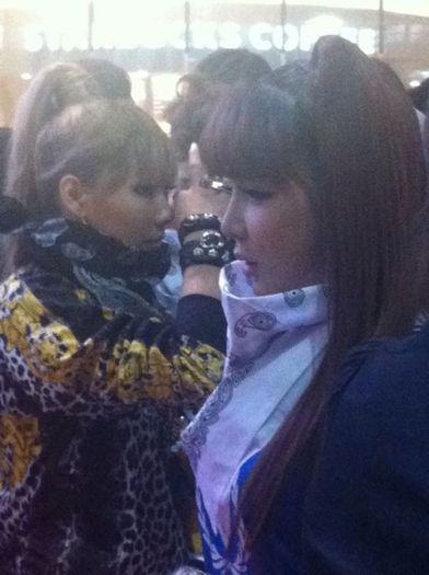 CL AND BOM ADIDAS