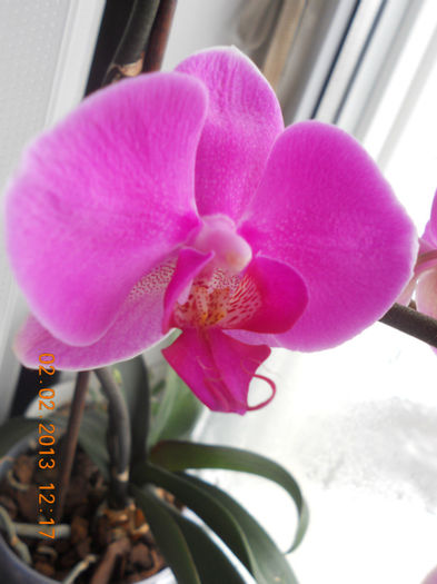 DSCN2613