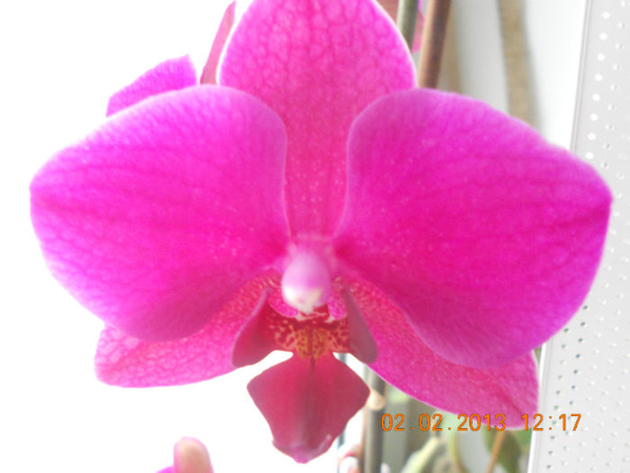 DSCN2614