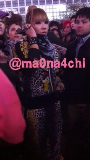 CL ADIDAS